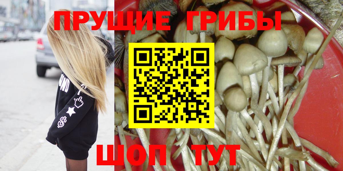 Галлюциногенные грибы Psilocybine cubensis  Вход с VPN  Сибай 