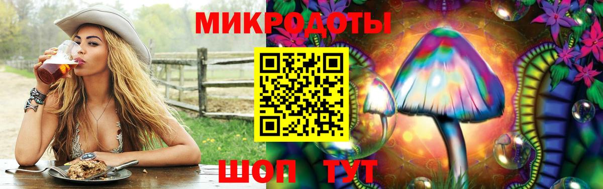 Галлюциногенные грибы Psilocybine cubensis Сибай